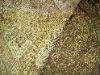 Closeout Paisley Jacquard Palace Maroon and Olive Upholstery Fabrics