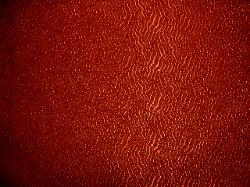 Color Paprika
