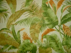 Color Bamboo