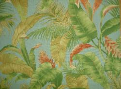 Color Eucalyptus