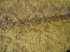 Covington Fabrics Balenciaga Bronze Chenille Upholstery Home Decor Discount Fabric