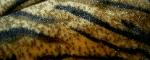 Swatch of Design Cheap with Closeout Faux Fur Upholstery Fabric Cheetah Color Multi Remnant