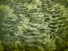 Edgar Fabrics Tiffany Color Moss Home Decor Fabric Remnant
