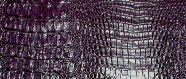 Swatch of Fabric Store Designer's Special Faux Crocodile Skin Upholstery Vinyl Color Plum by the yard