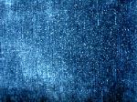 Swatch image Cotton velvet Brussels Navy Blue at Schindlers