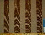 Sample of Fabric Warehouse Outlet Clearance Sale P Kaufmann Syracuse Textured Stripe Mushroom - click for images and video