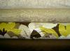 P Kaufmann Fabrics and Covington Browns and Whites Fabric Coordinates