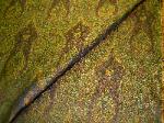 Peachtree Williams Treasure 11-57530 Silk Drapery Fabric