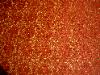 SMC Pattern Cervo Color Cinnnabar Home Decor Fabric